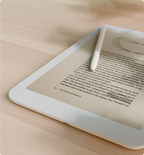 Daylight Computer